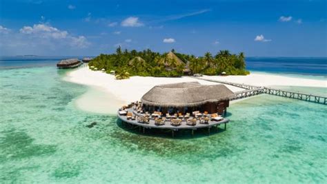 Mirihi Island Resort 5 Mandhoo Ari Atoll Maldives 34 Guest Reviews