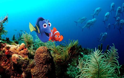 1920x1080px 1080p Descarga Gratis Buscando A Nemo Pixar Disney
