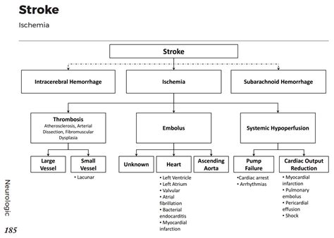 Causes Of Ischemic Stroke Differential Diagnosis Grepmed