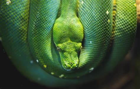 Urteile: Tierhaltung in Haus und Garten | Martin Reichhardt