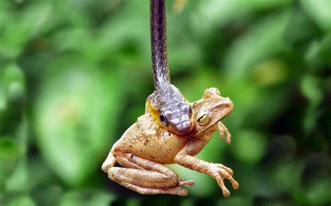 Michael's Photography : Depth of Field Examples