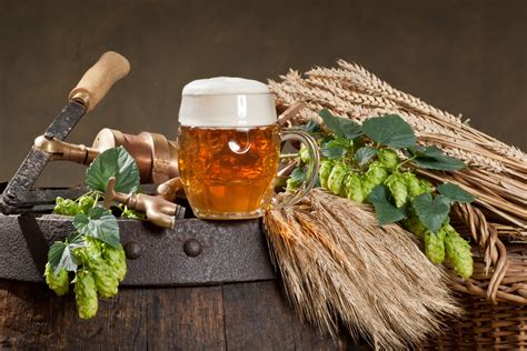 How To Make Beer At Home Brewing Process Supplies And Cost