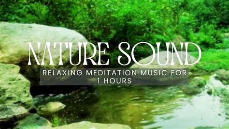 Beautiful Relaxing Music Relieves Stress With Beautiful Nature