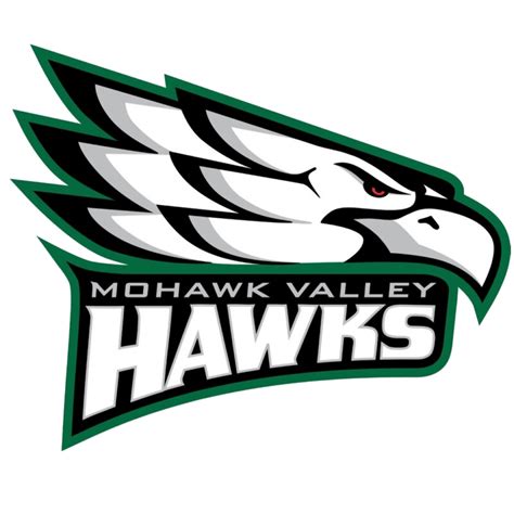 College and University Track & Field Teams | Mohawk Valley Community ...