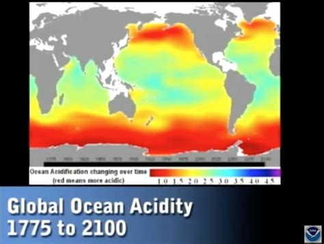 Ocean Acidity Is 30 Higher And On Track To 150 Higher By 2100