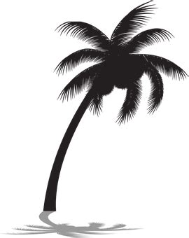 Dessin Palmier - Palmier Plage | Palmier dessin, Silhouette palmier, Dessin