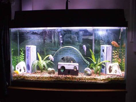 Check spelling or type a new query. How to Create Aquarium Decoration Themes | Fish aquarium ...