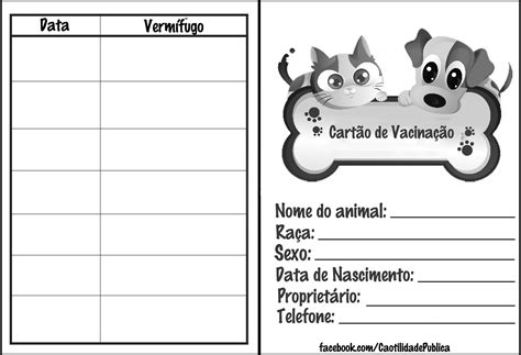 Se o cão perder as injeções de reforço, não haverá garantia de que ele estará protegido contra patógenos infecciosos, como vírus e bactérias. Pin de Monika Trtíková em Adopt | Carteirinha de vacinação ...