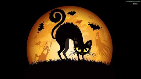 Black Cat Halloween Wallpapers Top Free Black Cat Halloween