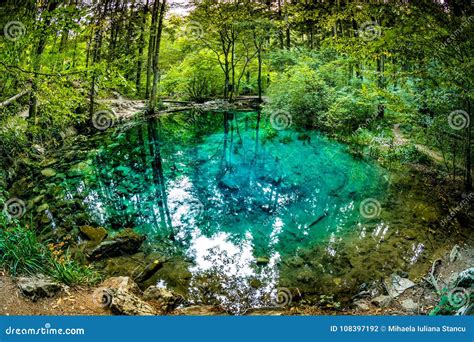 Beautiful Ponds In The Woods