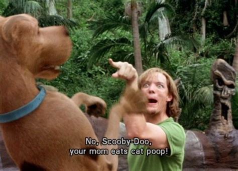 Scooby And Shaggy Are So Funny Funny Cartoon Quotes Cartoon Tv