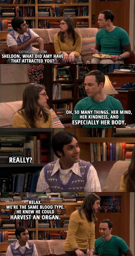 Pin On The Big Bang Theory │ Quotes