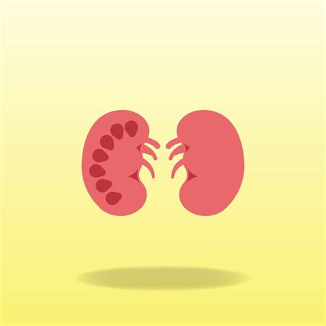 Premium Vector Kidney Flat Icon Graphic Design Vector Illustration