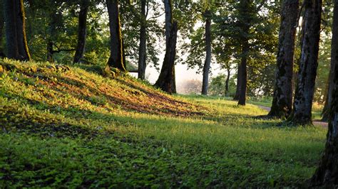 Lawn At Dawn Sigulda Latvia 20200824 20200824062234d Flickr