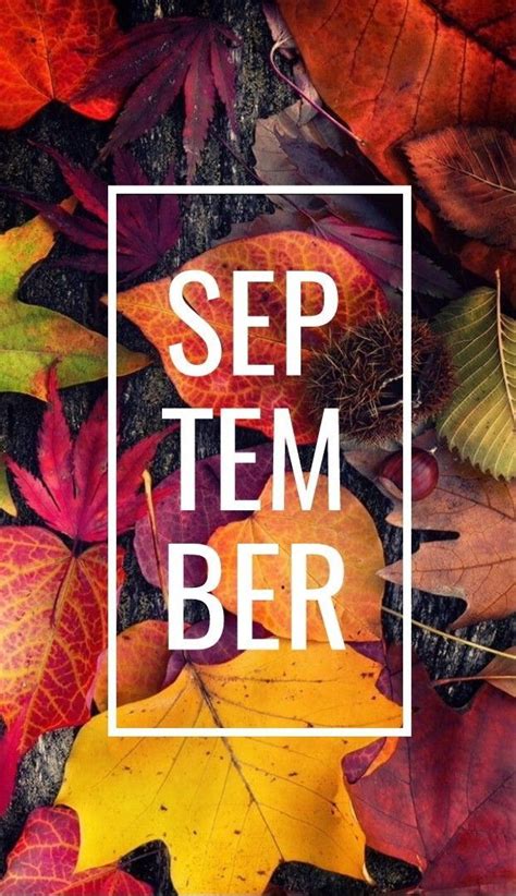 September Wallpaper Septemberwallpaper September Wallpaper Sommer