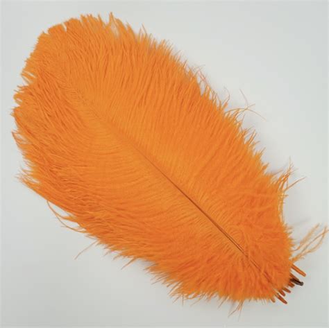 Coloured Ostrich Craft Feathers 5 Pack Ebay
