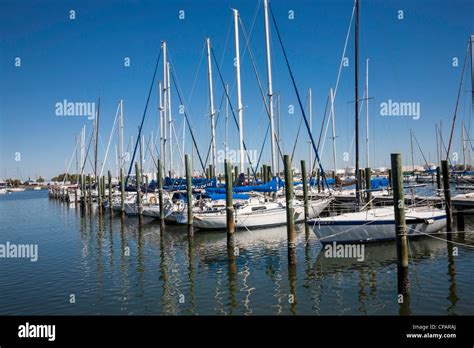 Davis Island Yacht Club Tampa Florida Stock Photo Alamy