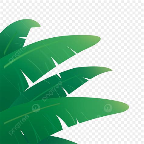Cartoon Leaves Clipart Transparent Png Hd Cartoon Leaves Green Leaves