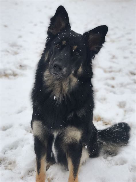 How can someone be that good looking while being a complete slob? Gary Gross Pretty Baby - Brooke Shields Life And Pictures / View pretty baby (1978) by garry ...
