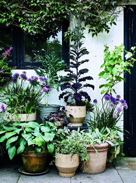 Container Gardening 10 Steps To Growing Plants In Pots And Ideas To