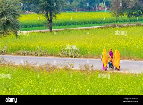 Abhaneri India St January Three Women Walk On A Road Past