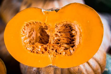 Biji labu kaya dengan tembaga, zink dan magnesium. Stop Buang Bagian Buah dan Sayur Ini Mulai Sekarang ...