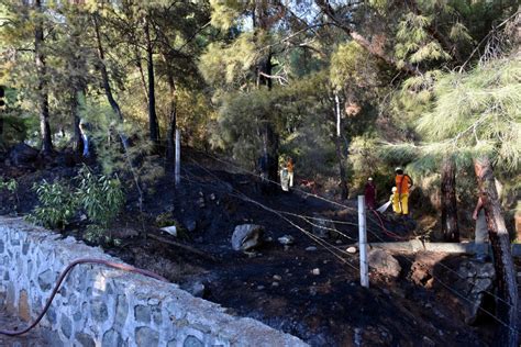 Muğla'nın marmaris ilçesinde ormanlık alanda mangal ateşinden çıktığı iddia edilen yangın, şiddetli rüzgarın da etkisiyle kontrol altına alınamıyor. Marmaris'te yangın çıktı: Sebebi şoke etti! - Internet Haber
