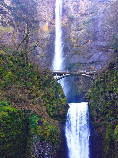 The Best Waterfall Hikes Near Portland Oregon Everyday