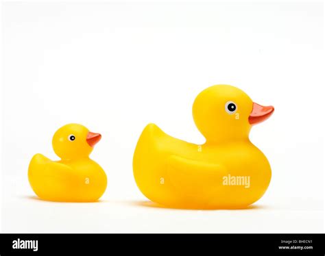 Isolated Photo Of Some Funny Yellow Ducks Stock Photo Alamy