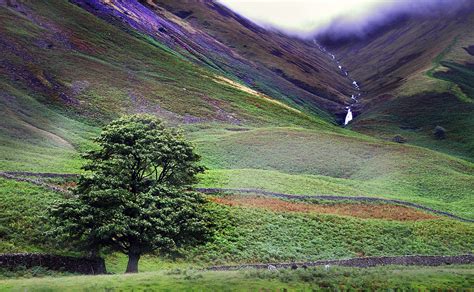 Wallpaper Trees Landscape Forest Waterfall Photoshop Water Rock