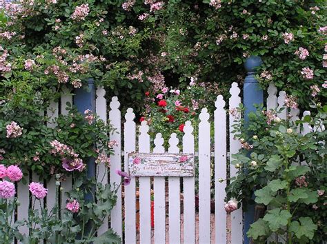 Behind The Gate By Helen Penwill In 2022 Garden Gates And Fencing