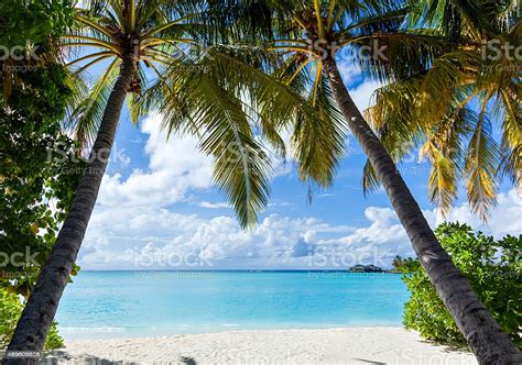 #3 of 4 hotels in maratua island. Tropical Island Paradise Stock Photo - Download Image Now ...