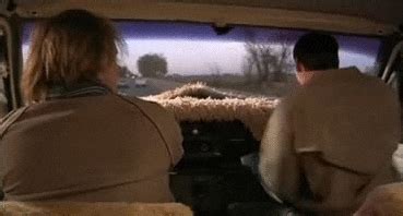 Dumb And Dumber Weed Gif Find Share On Giphy