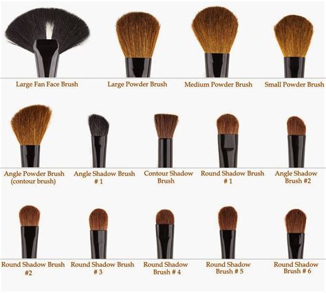 Best Makeup Choice Makeup Brushes And Their Uses