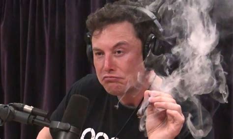 Elon Musk Fuma Marihuana En Una Entrevista Para Canal De Youtube El Nuevo Día