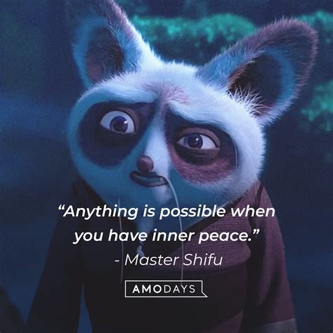 48 Master Shifu Quotes To Teach You Kung Fu Discipline