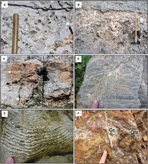 Field Images Illustrating Some Of The Diversity Of Early To Deep‐burial