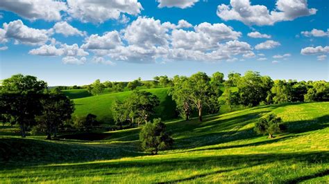 Wallpaper Trees Landscape Hill Nature Grass Sky Clouds Green