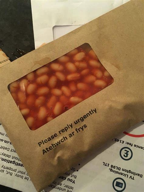 15 Images Full Of Beans That Will Make You Say Wtf Gallery Ebaums