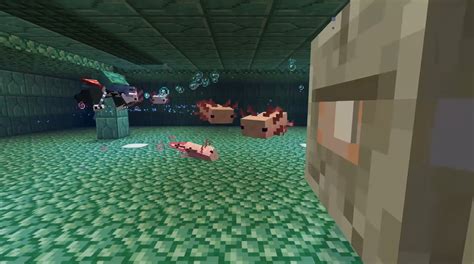 Heres Everything We Know About Axolotls In Minecraft 2022