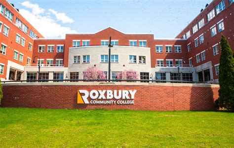 Roxbury Community College Nombra A 50 Pioneros En Su 50º Aniversario