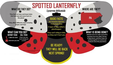 Spotted Lanterns Flies Invasion Maps