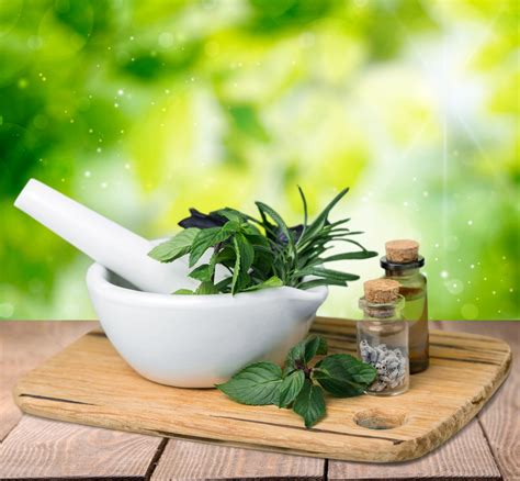 5 Healing Herbs And Their Benefits Naturally Healthy News