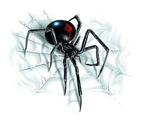 Black Widow Spider On Web Car Sticker Tattoo Art Auto Decal
