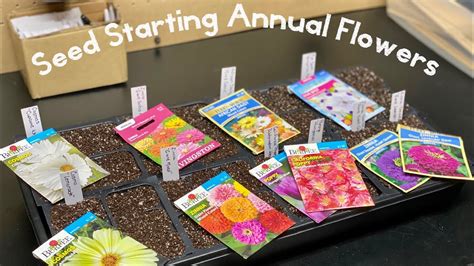 How To Start Annual Flowers From Seed Indoors Home Gardening Youtube
