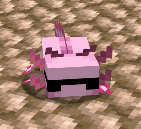 Axolotl Might Be New In Town But He Sure Got The Most Swag Rminecraft