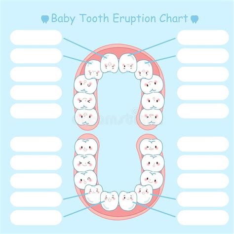 Teeth Eruption Chart Tooth Cartoon Baby Records Tooth Chart Baby