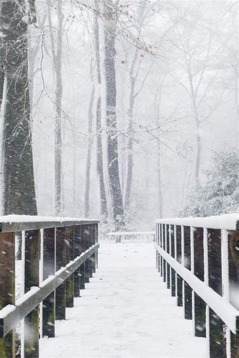 Wooden Bridge In Snowy Forest During Snowfall Stock Photo Image Of