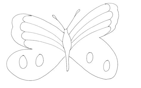 beautiful wings butterfly printable coloring page