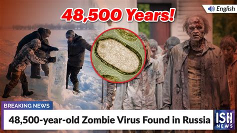 48500 Year Old Zombie Virus Found In Russia Russia Ice Temperature
